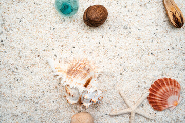 白い砂浜の貝殻と木の実とガラス玉