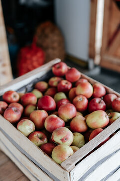 Crate of farm fresh apples in close up