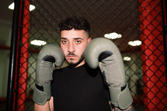 Boxer training in gym.