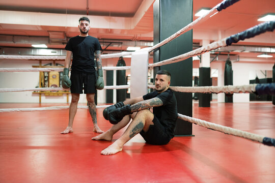 Bearded boxer taking break on ring