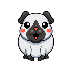 Cute little siamese guinea cartoon