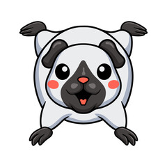 Cute little siamese guinea cartoon