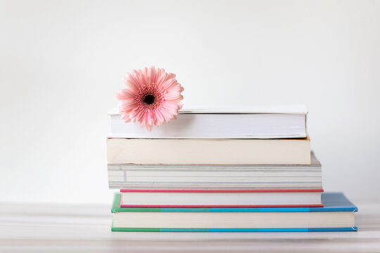 Pink flower on stack of books