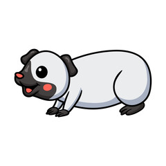 Cute little siamese guinea cartoon