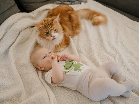Baby and the cat laying together