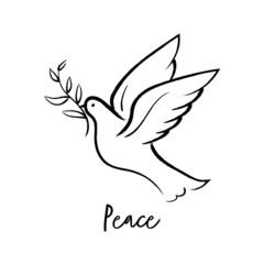 Flying dove holding olive branch hand drawing. Peace dove vector.