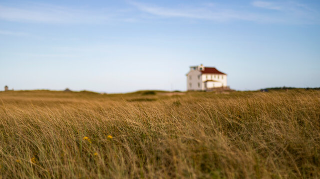 Cape Cod Beach Dune Landscape at Race Point 