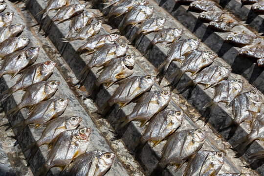 Fish drying in the sun on diagonal 