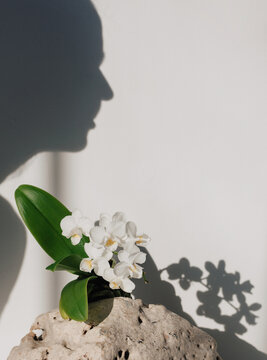 Shadow of woman smelling flowers