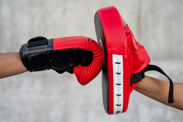 Crop boxer and coach during training