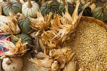 Variety of pumpkins and corn kernels in a basket