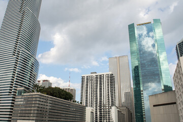 Fototapeta premium Sunny South Florida