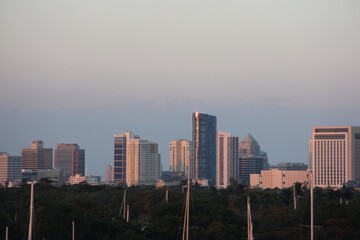 Fototapeta premium Sunny South Florida