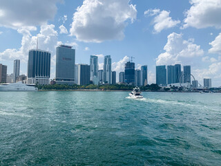 Naklejka premium Sunny South Florida