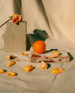 Orange Blossom