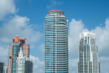 Fototapeta premium Sunny South Florida