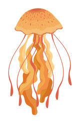 Fototapeta premium jellyfish sea life