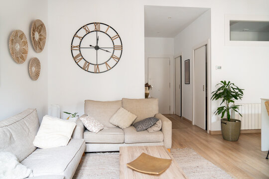 Modern Studio Apartment