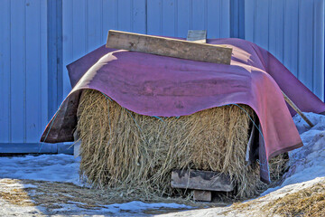 A haystack is covered with a carpet from precipitation on a spring day