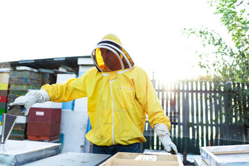 Fototapeta premium Professional beekeeper working outdoors and wearing the protective suits used for beekeeping. Beekeeper harvesting honey from a bee hive.