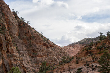 Seeing Zion