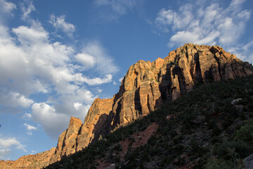 Fototapeta premium Seeing Zion