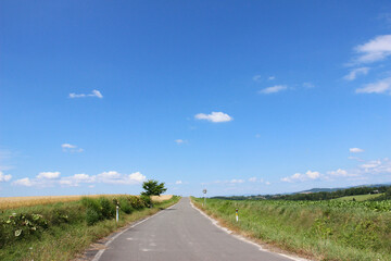 青空と農村の道

