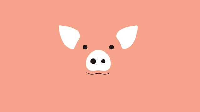 pig Vector Footage Full Hd Resolution HD Animal Motion Graphic
