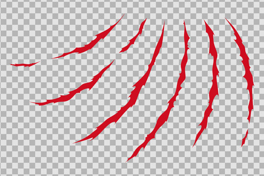 Claw scratches of wild animal. Cat scratches marks isolated in transparent background. Monochrome vector illustration