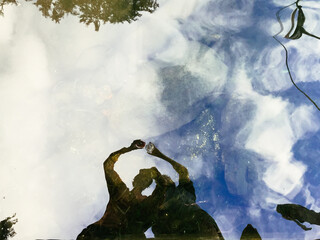 Abstract reflection of two women with raised glasses