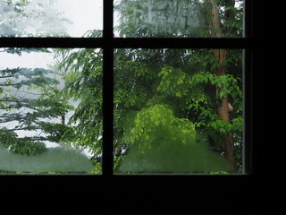 窓から雨が降る森を眺める（横）