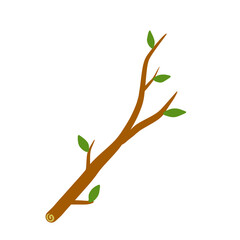 Fototapeta premium Tree branch with leaf on white background illustration.