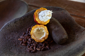 Cocoa Pod pod with cacao Seeds