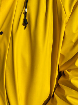 yellow coat