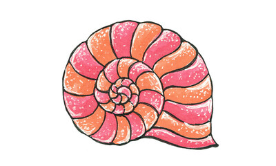 Watercolor illustration with a seashell. Illustration on white background. Sea and ocean life.