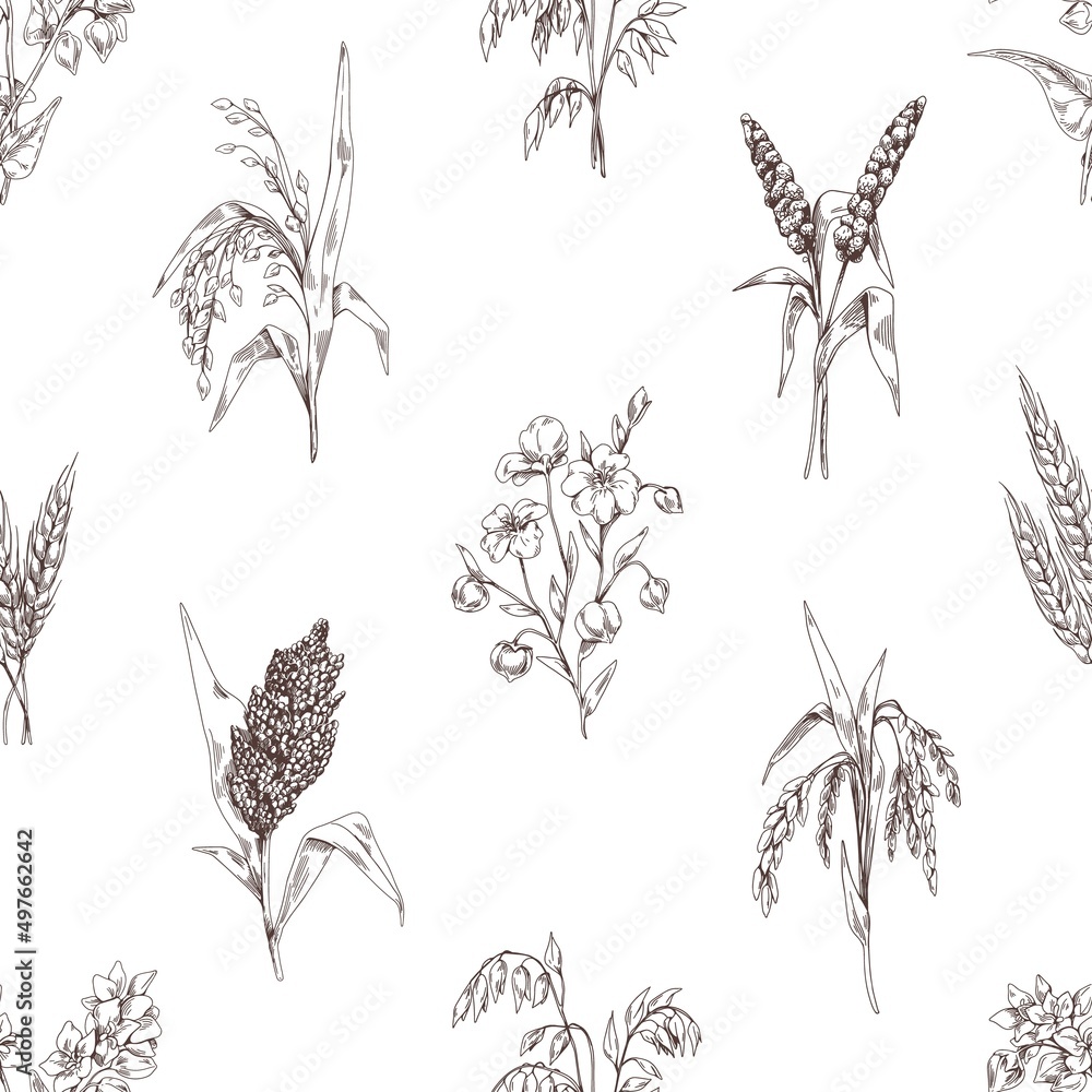 Leinwandbilder seamless cereal pattern. vintage background with engraved grain crops, spikelets print. repeating te