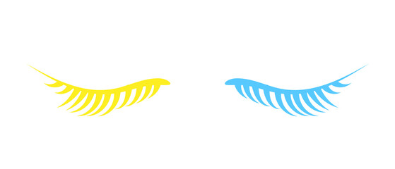 Black false eyelashes icon.