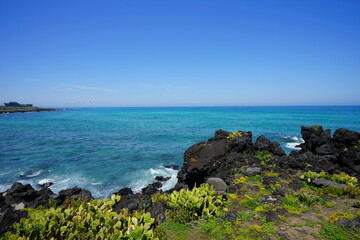 spacious sea view with distant turbines