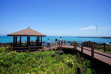 fascinating seaside walkway and blue sea 