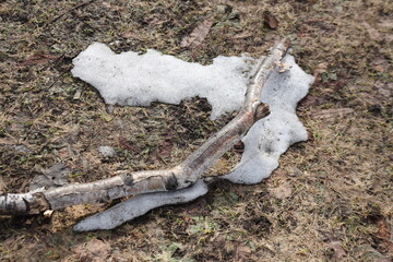 木　枝　砂　土　草　自然　テクスチャ　背景　
