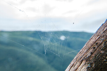 Colseup di ragnatela su staccionata di legno con sfondo di montagne - colline