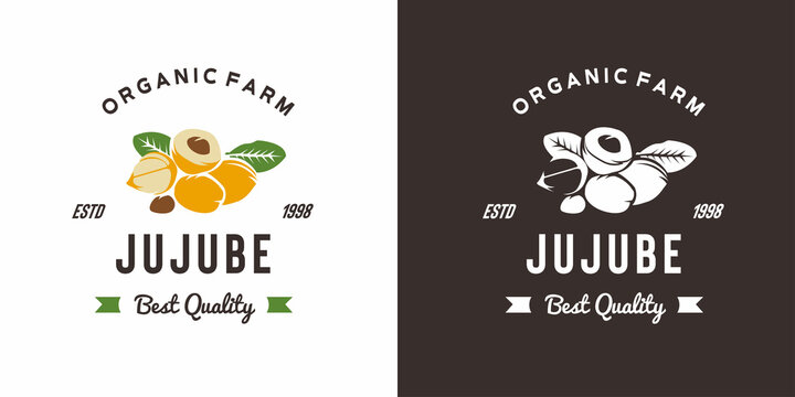 vintage jujube fruit logo illustration suitable for fruit shop and fruit farm