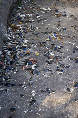 Broken ceramic pot with ceramic fragments all over the ground