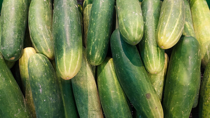 cucumbers in the market