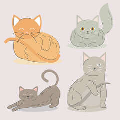 icons collection cats