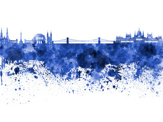 Budapest skyline in watercolor on white background