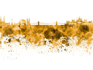 Budapest skyline in watercolor on white background