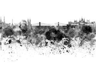 Budapest skyline in black watercolor