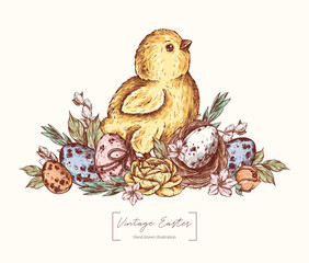 Cute Chick with Easter eggs in engraving style. Easter eggs spotted, chick, nest, apple blossom, leaves, feathers. Vintage vector hand drawn. Easter illustration for card, invitations, package