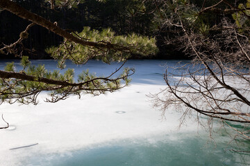view of a mountain lake surrounded by bushes and trees in autumn